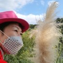 송금리할머니경로당 이미지