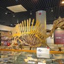 안면도쥬라기박물관 이미지