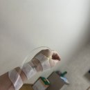 모아산부인과병원 | 광주 모아산부인과 유도분만(25.10.25~28)/아무도 안 알려줬던 출산후기