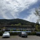 현풍서로 | 달성군] 대구 달성군 현풍 대형 애견카페 천연잔디 야외 강아지 운동장 애견유치원 멍리버 내돈내산 후기