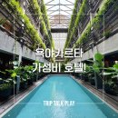 네오클럽(NEO CLUB) | 욕야카르타의 위치 &amp; 가성비 갑 호텔 추천(ft. 야외 수영장)