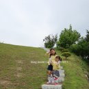 시아도 펜션 네이버블로그
