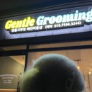젠틀그루밍 이미지