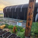 능금농장2 이미지