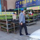 수원종묘농약사 이미지