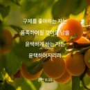 새로워짐 이미지