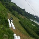 대진목장 이미지