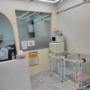 사랑해똥깡아지 이미지