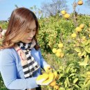 정진수농장 이미지