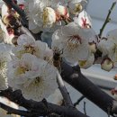 아틀라스치과의원 이미지