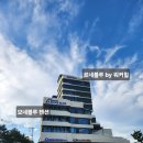 송지호모네블루 네이버블로그