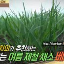 국군수도한의원 이미지