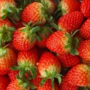 온수 농장 이미지