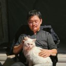 산디마을오토캠핑장 이미지