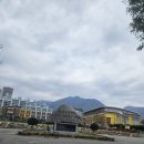 화순초등학교 이미지