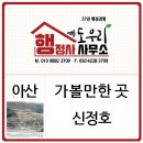 행정사신정호사무소 이미지