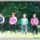 힐링라이프 이미지