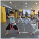 충주태권도 이미지