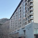 포레스트리솜 이미지