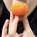 영농조합법인그린농산 | [리뷰] 설명절 선물 추천 살살녹는 청도반건시 곶감 선물세트