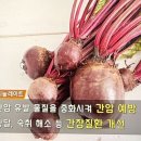 과일스토리