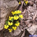 우이산장 이미지