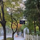 홀려버린닭 이미지