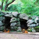 내수전 약수터 이미지