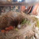 둥지태권도체육관 이미지