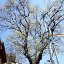 김해동광초등학교 이미지