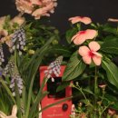 가드닝과 정원만들기 이미지