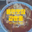 [용인] 갑오징어 짬뽕 맛집// 에버랜드, 호암미술관, 캐리비안베이 맛집 후기