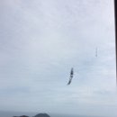 도장중 앞 이미지