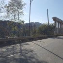 장군로-2 이미지