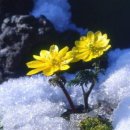 건강하이소.com