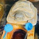 얼음골여관 | 달기약수탕(청송 국가지질공원) 방문기(ft. 주차, 달기약수, 맛집 서울여관식당)