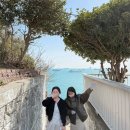 킹크럽 | [부산 1박2일] 여자 둘이 만나면 그저 먹방을 : 해성막창집/사루비아클럽/부산꼼장어/전포 소품샵 투어...