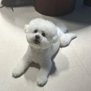 스테이_지 | 여수 숙소 추천｜스테이호미 애견동반 내돈내산 솔직 후기