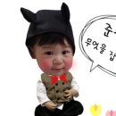 고고쏘잉