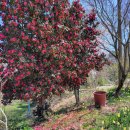 일만농장 이미지