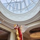 더플레이트 이미지