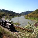 영화와 역사 나들이 이미지