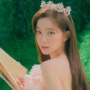 MY헤어 이미지