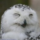 웨슬리짐 이미지