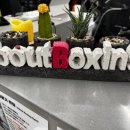 명성복싱체육관 | &lt;어바웃복싱&gt; 압구정 최고 맛집 체육관 :)!!