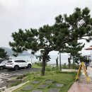 더뷰 (The View) 이미지