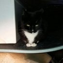 엠오바이오 이미지