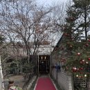 장가네더덕밥 | 춘천 현지인 맛집 한정식 장가네더덕밥 주차 예약 정보