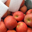 맹순이농장 이미지