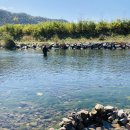 금시당 공용화장실 이미지